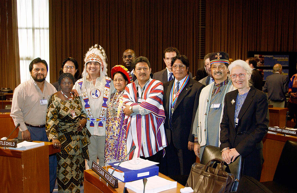 United Nations Permanent Forum on Indigenous Issues
